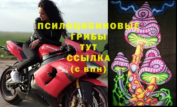 экстази Сатка
