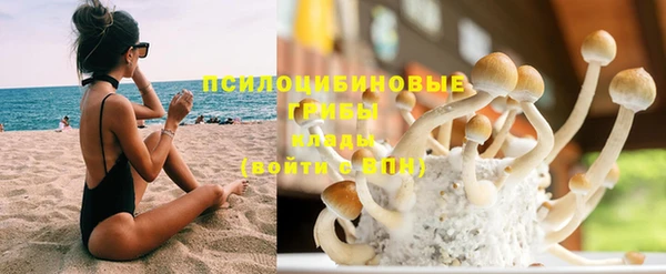 а пвп мука Саяногорск